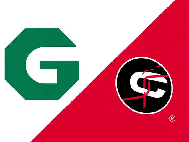 Hornets Seek First Road Win Against Hawks on November 23, 2025